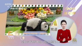 性感的生活